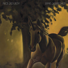 Alex Delivery - Star Destroyer [CD] [Second Hand]