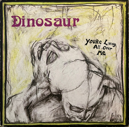 Dinosaur Jr - You're Living All Over Me [Vinyl]