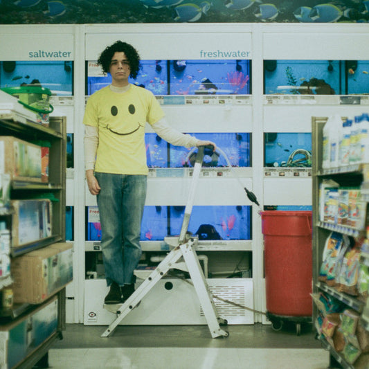 Hickey, Charlie - Count The Stairs [12 Inch Single]