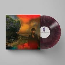 Van Etten, Sharon - We've Been Going About This All Wrong [Vinyl]
