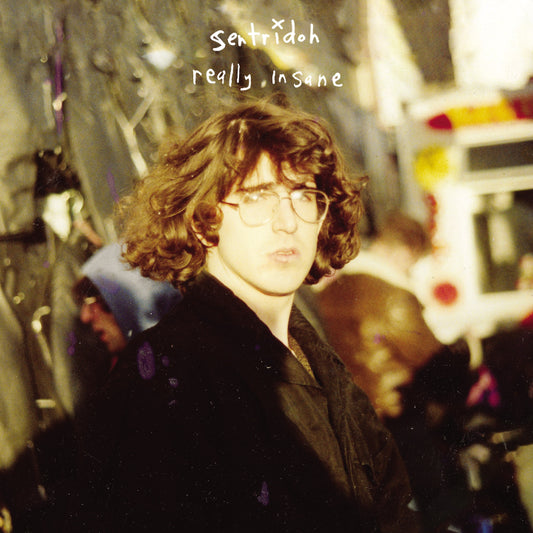 Sentridoh - Really Insane: A Lou Barlow Compendium [Vinyl]