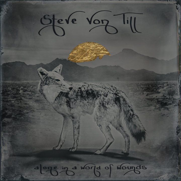 Von Till, Steve - Alone In A World Of Wounds [Vinyl]