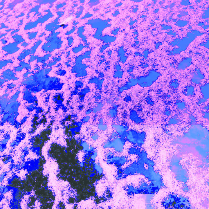 Dwyer, John / Ryan Sawyer / Greg Coates - Gong Splat Sessions [Vinyl]