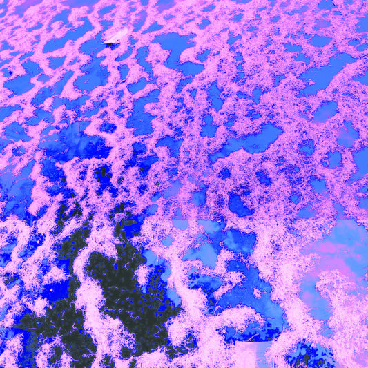 Dwyer, John / Ryan Sawyer / Greg Coates - Gong Splat Sessions [Vinyl]