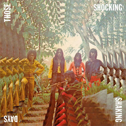 Various - Those Shocking Shaking Days: Indonesian [Vinyl]