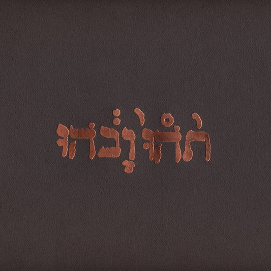 Godspeed You Black Emperor! - Slow Riot For The New Zero Kanada E.P. [12 Inch Single]