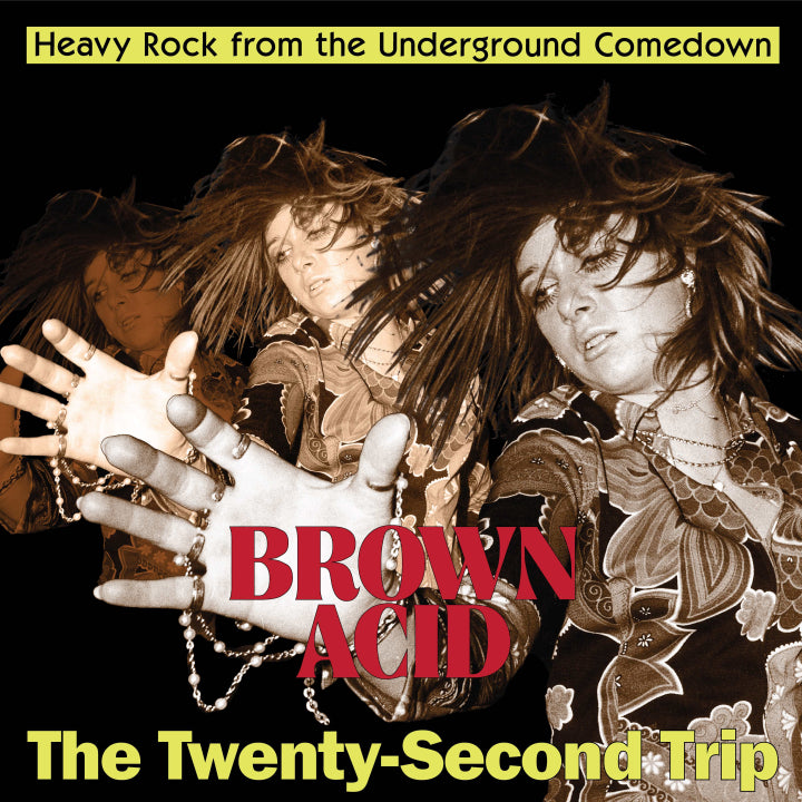 Various - Brown Acid: The Twenty-Second Trip [CD] [Pre-Order]