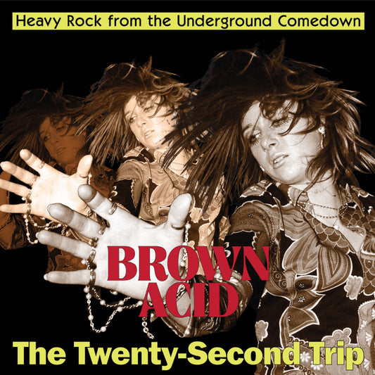 Various - Brown Acid: The Twenty-Second Trip [CD] [Pre-Order]