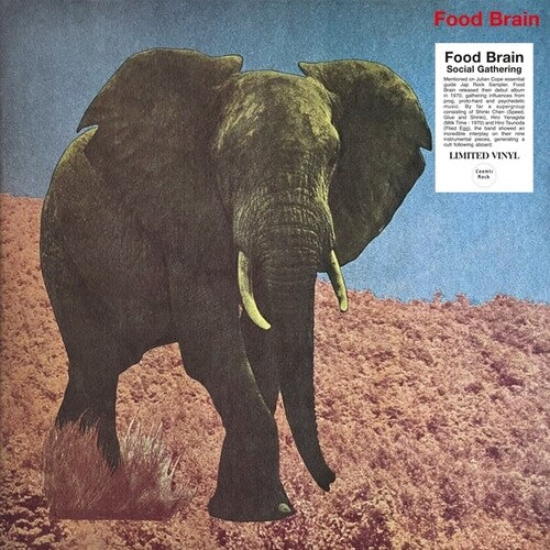 Food Brain - Social Gathering [Vinyl]