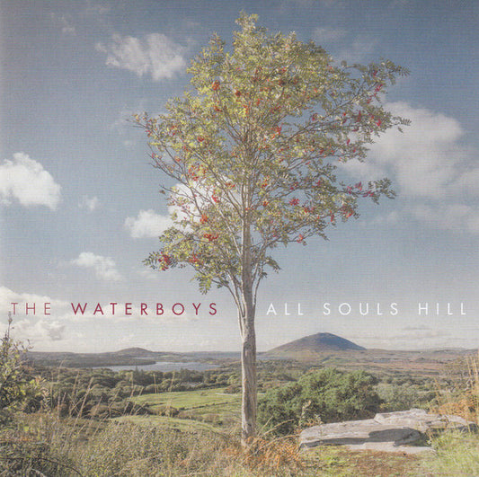 Waterboys - All Souls Hill [Vinyl]