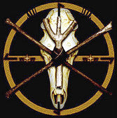 Blood Of The Black Owl - A Feral Spirit [Vinyl] [Second Hand]