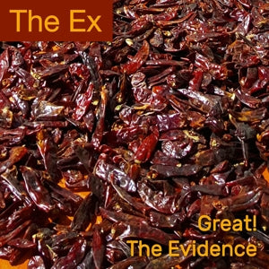 Ex - Great! / The Evidence [7 Inch Single]