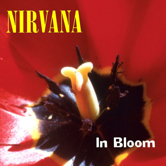 Nirvana - In Bloom [CD Single] [Second Hand]