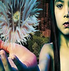 Future Sound Of London - Lifeforms: 2CD [CD] [Second Hand]