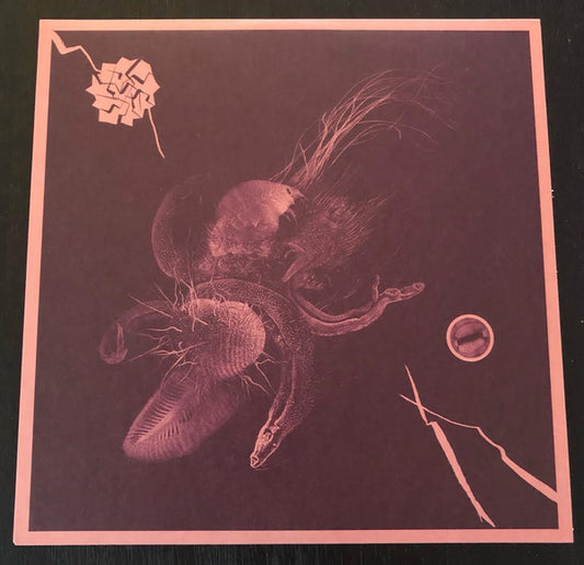 Turner, Aaron and Jon Mueller - Now That You've Found It [Vinyl]