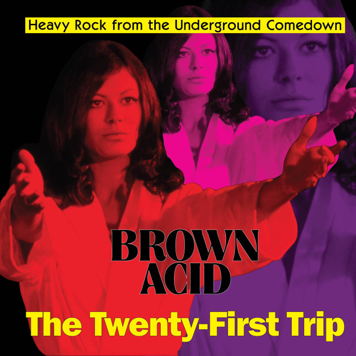 Various - Brown Acid: The Twenty-First Trip [CD]