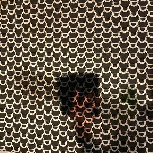 Dungen - Tio Bitar [Vinyl]