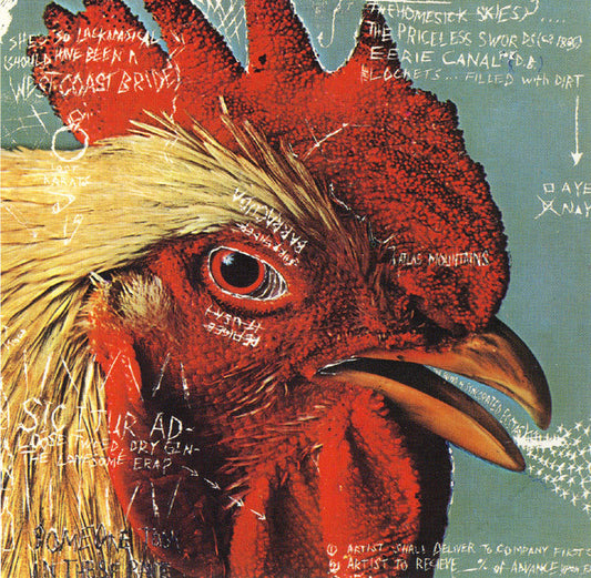 Pavement - Watery, Domestic... [12 Inch Single]