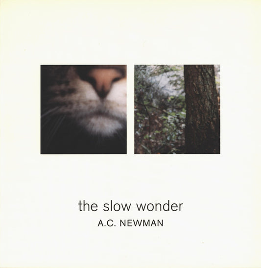 Newman, A.C. - Slow Wonder [CD] [Second Hand]