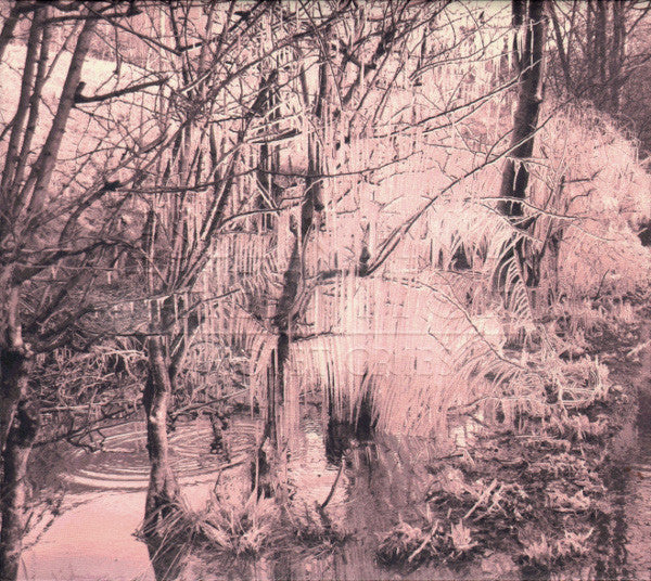 Esben And The Witch - Violet Cries [CD] [Second Hand]