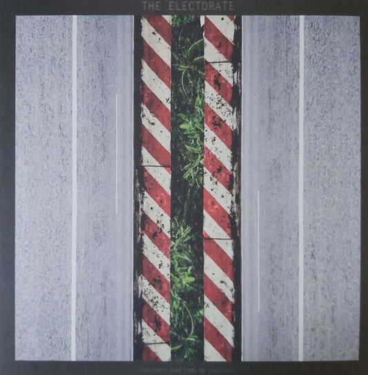 Electorate - You Don't Have Time To Stay Lost [Vinyl]