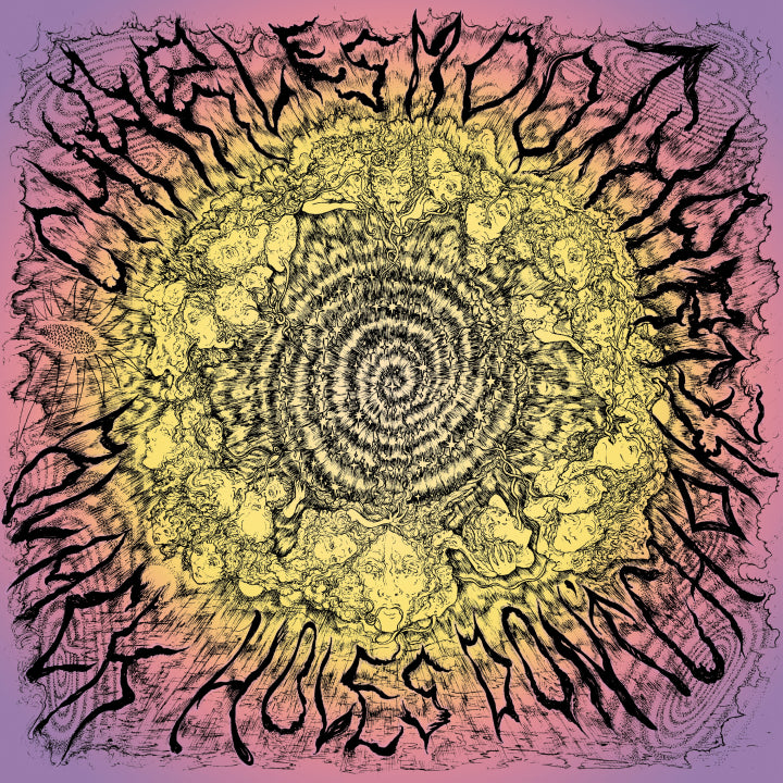 Moothart, Charles - Black Holes Don't Choke [Vinyl]