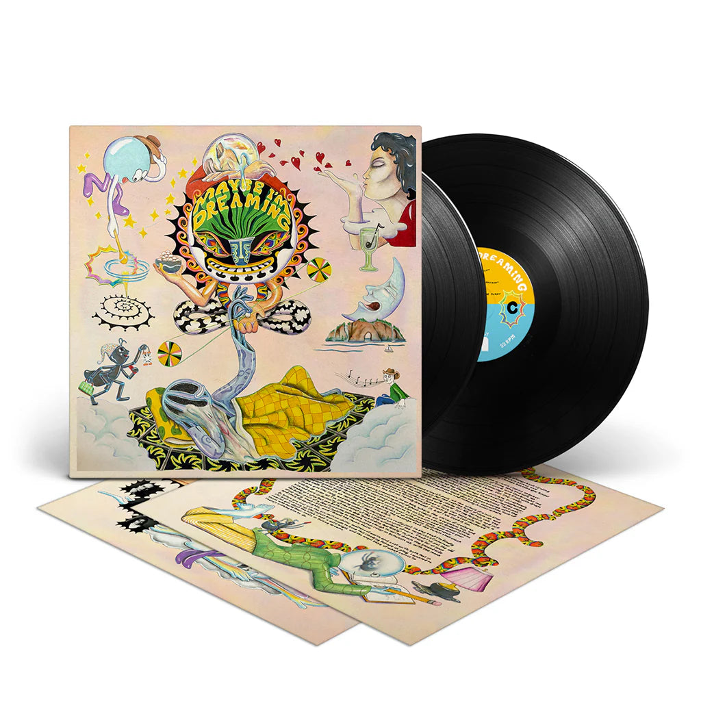 Various - Maybe I'm Dreaming [Vinyl]