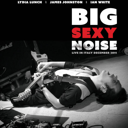 Big Sexy Noise - Live In Italy December 2011 [Vinyl]