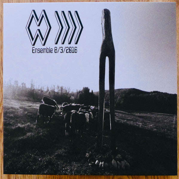 Band Whose Name Is A Symbol - Ensemble 8/3/2016 [Vinyl]