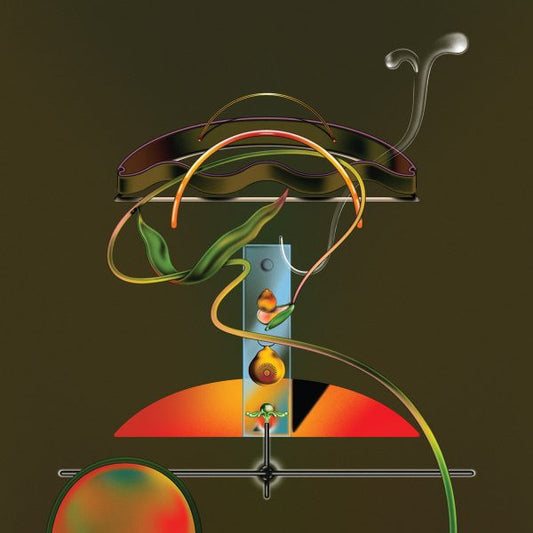 Wand - Spiders In The Rain [Vinyl]