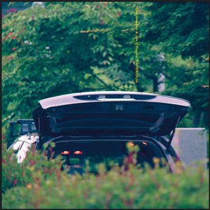 Ishibashi, Eiko and Jim O'rourke - Pareidolia [Vinyl]