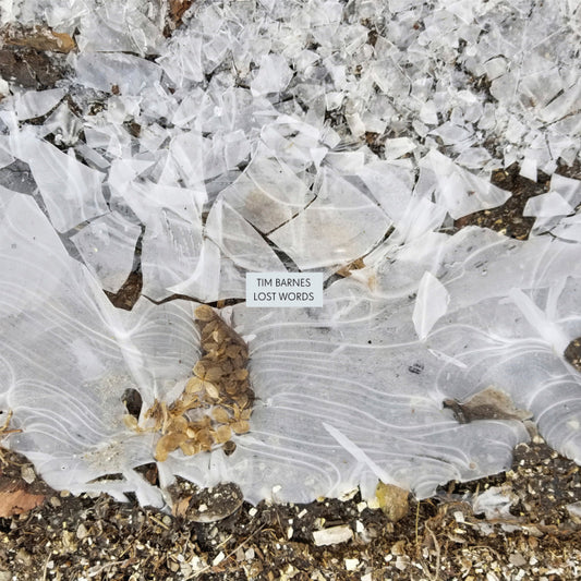 Barnes, Tim - Lost Words [Vinyl]