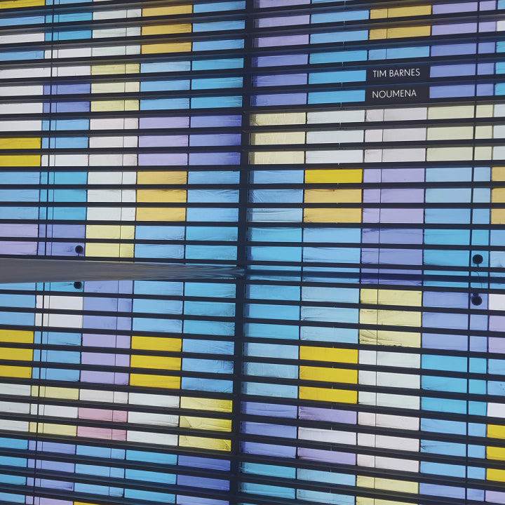 Barnes, Tim - Noumena [Vinyl]