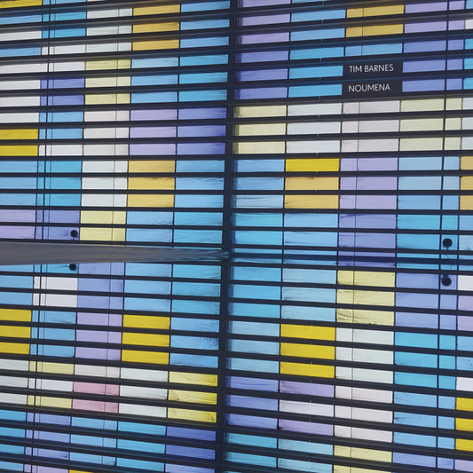 Barnes, Tim - Noumena [Vinyl]