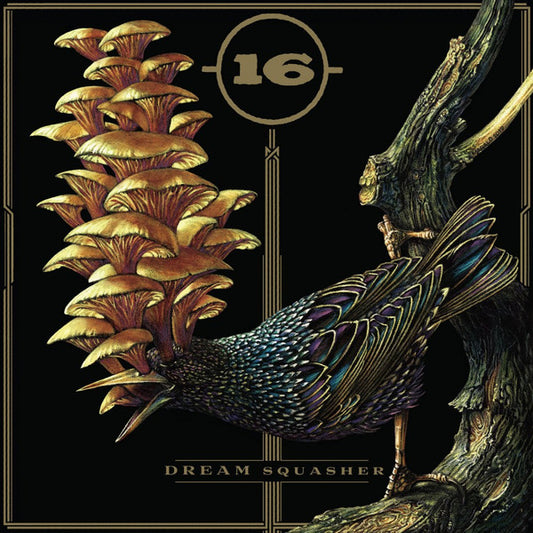 16 - Dream Squasher [Vinyl] [Second Hand]
