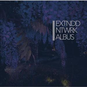 Extnddntwrk - Albus [Vinyl]