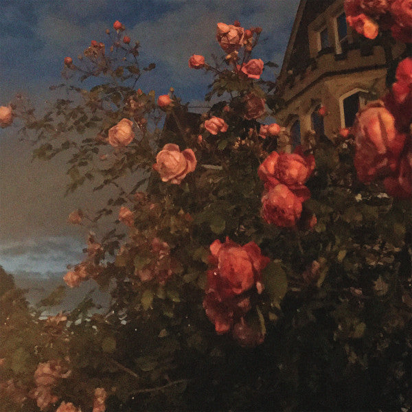 Bence, John - Love [Vinyl]