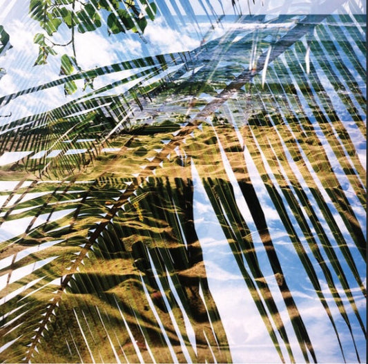 Dogs On Acid - Dogs On Acid [Vinyl] [Second Hand]