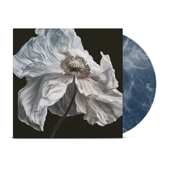 Quicksand - Bring On The Psychics [Vinyl]