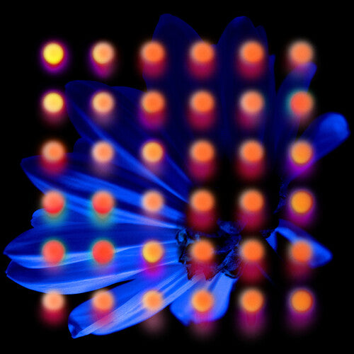 Anberlin - Nevertake [Vinyl]