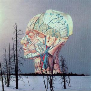 Low - Songs For A Dead Pilot [Vinyl]