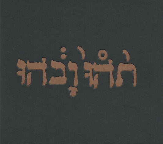 Godspeed You! Black Emperor - Slow Riot For New Zero Kanada E.P. [CD Single] [Second Hand]