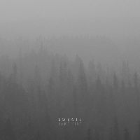 Loscil - Lake Fire [Vinyl]