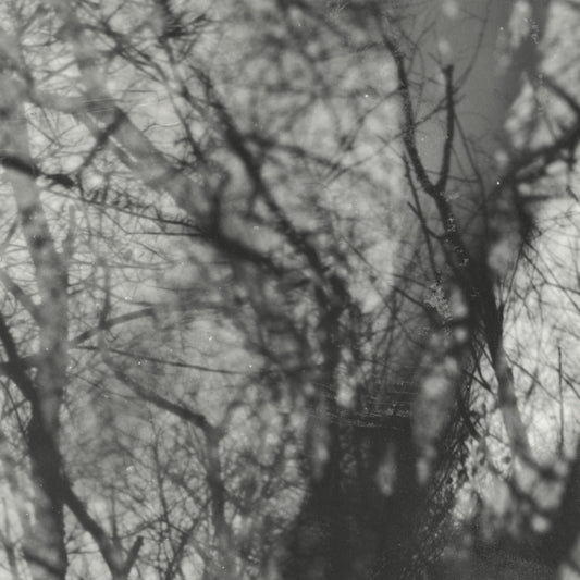 Grouper - Way Their Crept [Vinyl]