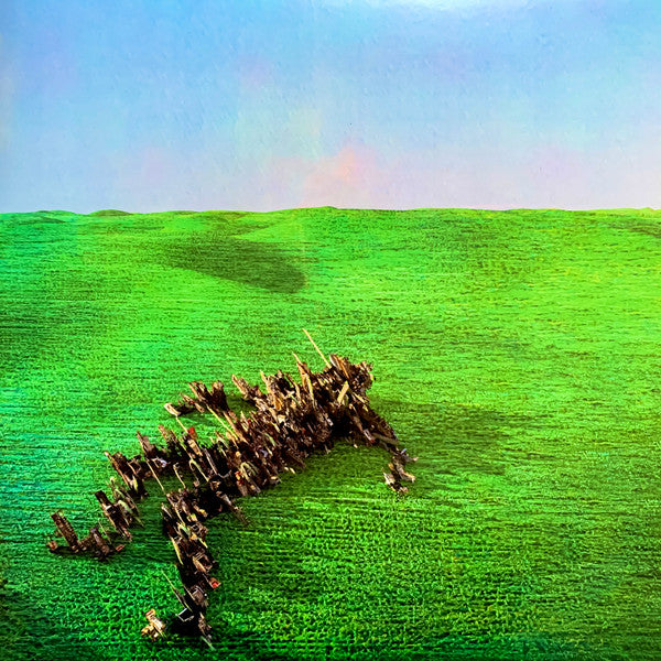 Squid - Bright Green Field [Vinyl]