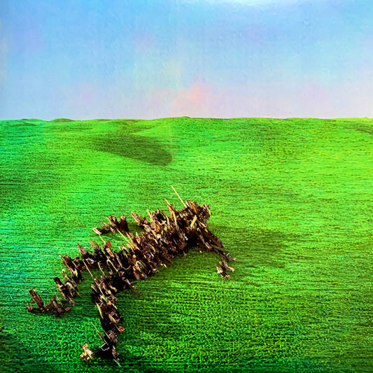 Squid - Bright Green Field [Vinyl] [Second Hand]