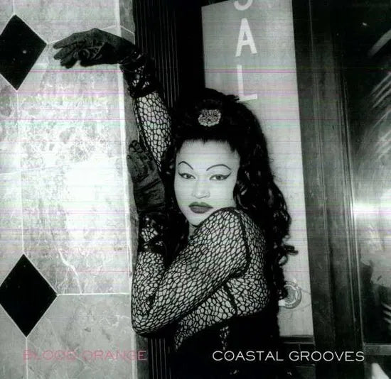 Blood Orange - Coastal Grooves [Vinyl]