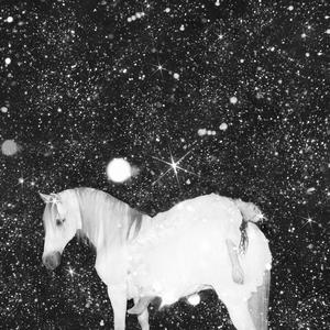 Black Lips - Apocalypse Love [Vinyl]