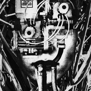 Dissimulator - Lower Form Of Resistance [Vinyl]