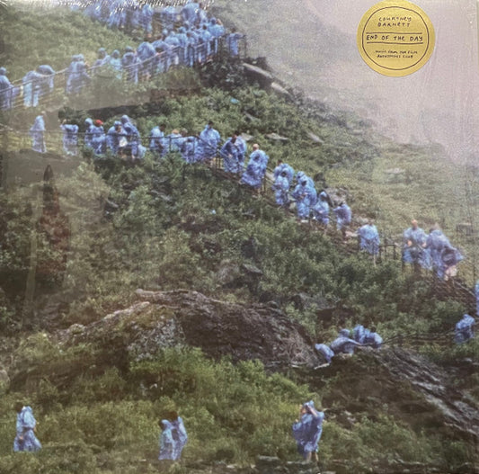 Barnett, Courtney - End Of The Day [Vinyl]